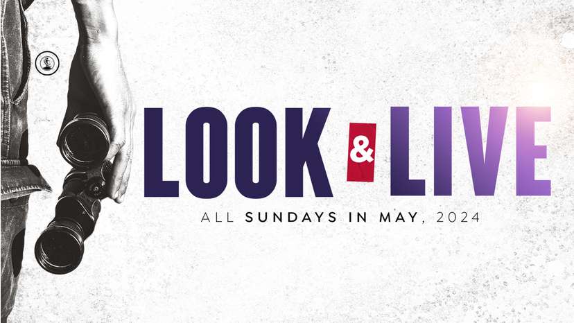 Look & Live 